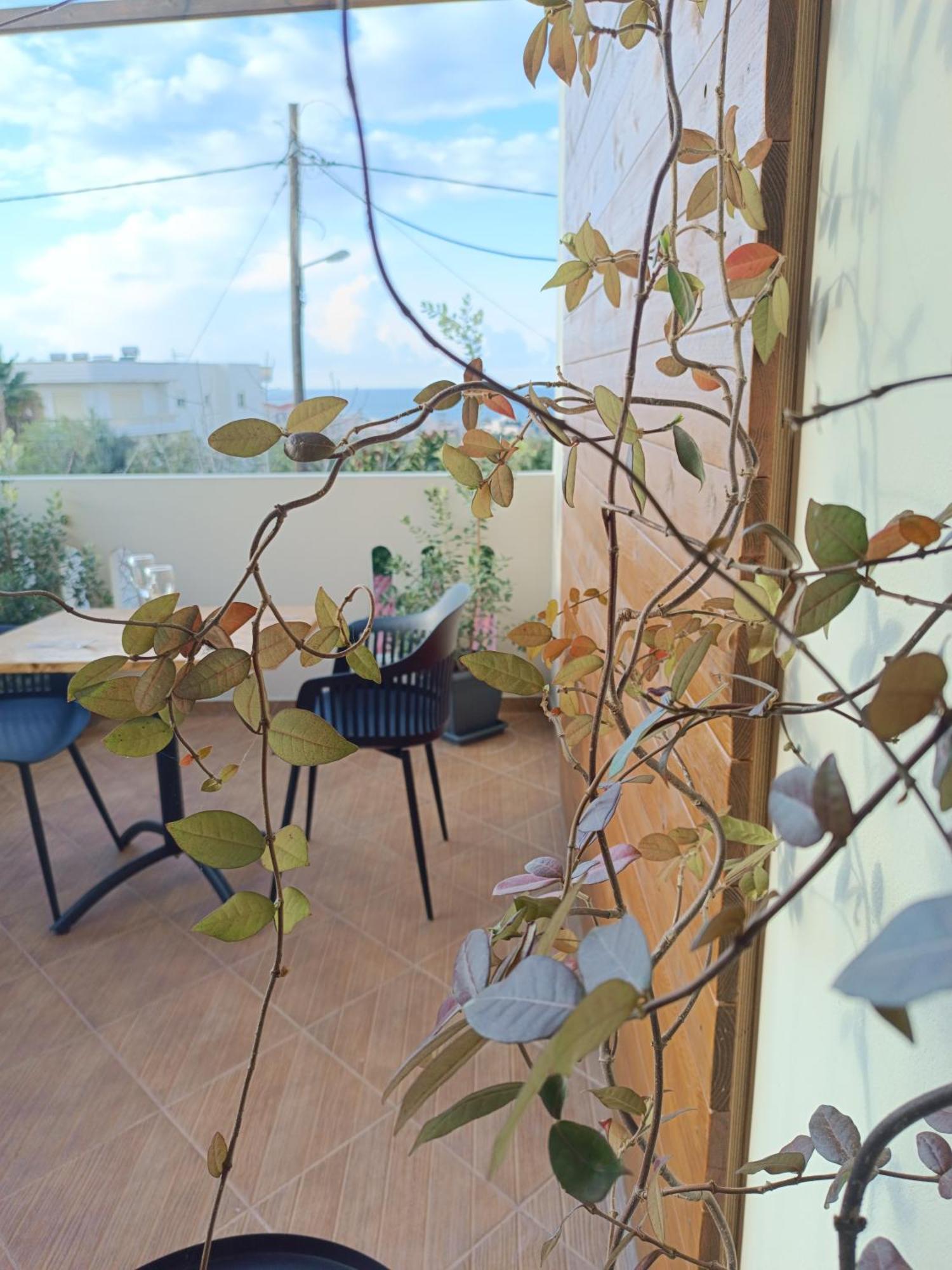 Giodriana Cozy Studio Agia Marina  Exterior photo